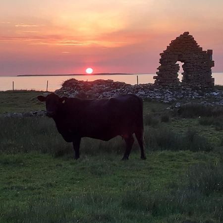 Beezies Self Catering Cottages Grange  Esterno foto