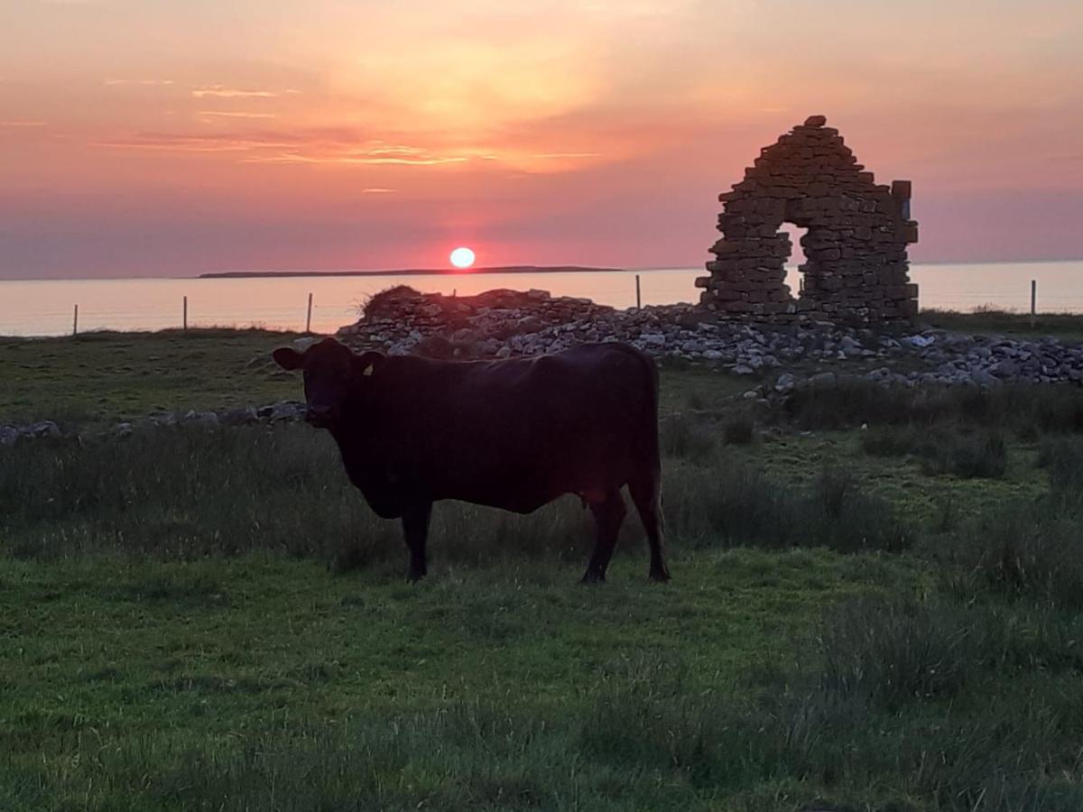 Beezies Self Catering Cottages Grange  Esterno foto